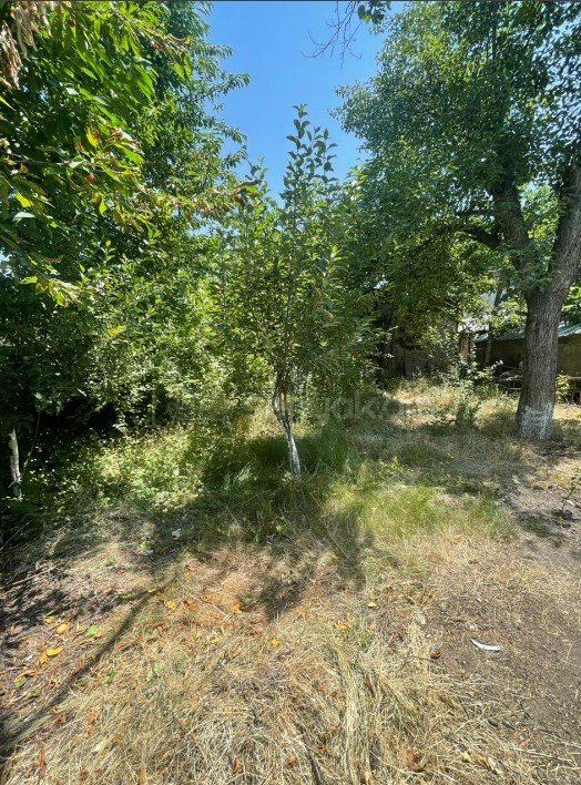 6 Սենյականոց Սեփական Տուն, 270քմ, Կապիտալ Վերանորոգված