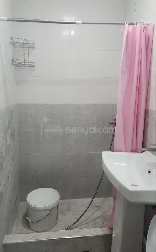 1 Սենյականոց Բնակարան Քարե Շենքում, 45քմ, 2/5 հարկ, Կապիտալ Վերանորոգված, Կահավորված