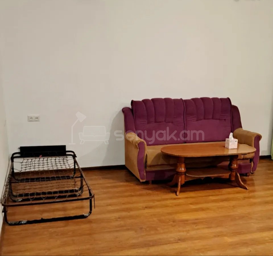 1 Սենյականոց Բնակարան Քարե Շենքում, 40քմ, 2/5 հարկ, Կոսմետիկ Վերանորոգված, Կահավորված