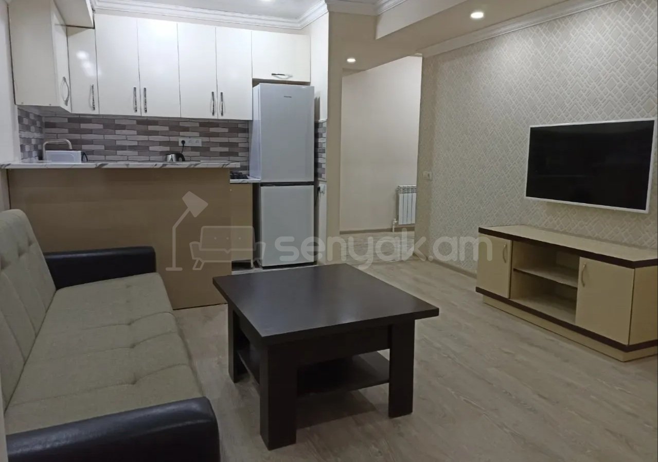 2 Սենյականոց Բնակարան, 50քմ, 2/9 հարկ, Կապիտալ Վերանորոգված, Կահավորված