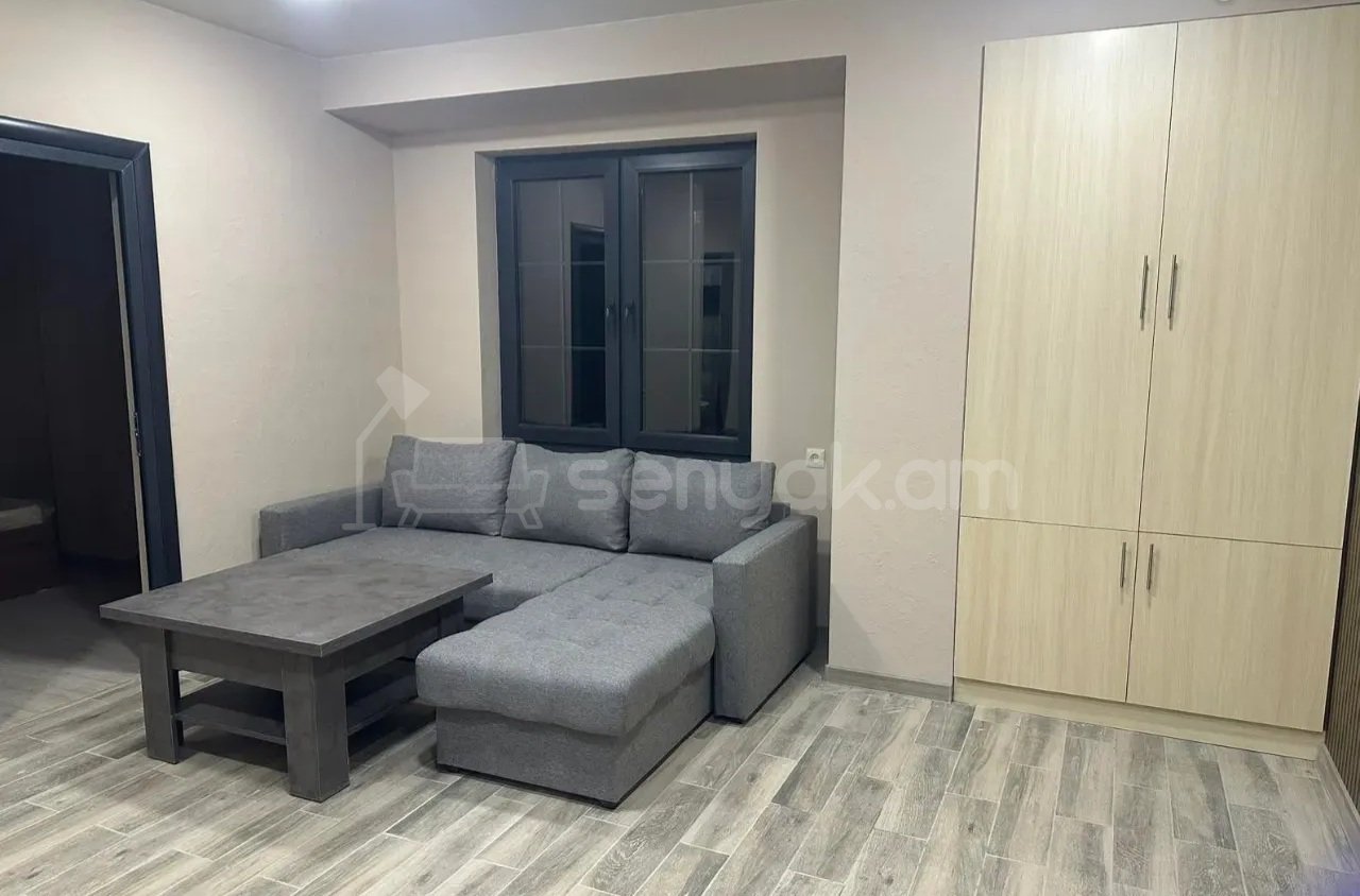 2 Սենյականոց Բնակարան, 45քմ, 3/9 հարկ, Կապիտալ Վերանորոգված, Կահավորված