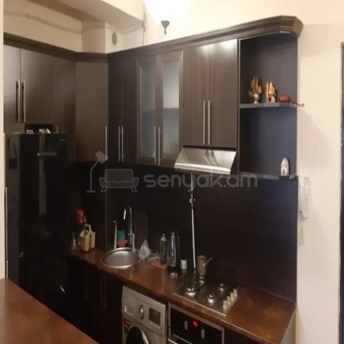 2 Սենյականոց Բնակարան, 46քմ, 8/12 հարկ, Կոսմետիկ Վերանորոգված, Կահավորված, Արևկող
