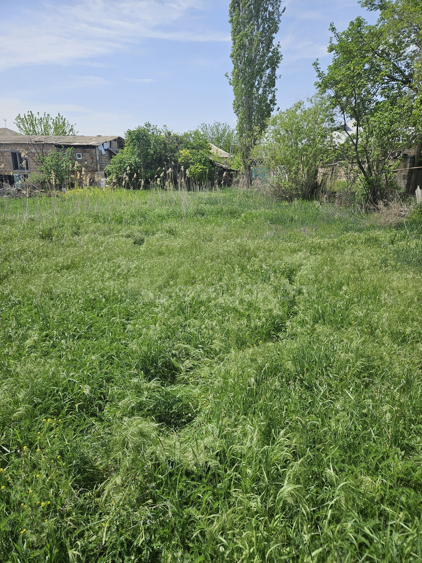 Բնակելի Նշանակության Հողատարածք, 990քմ