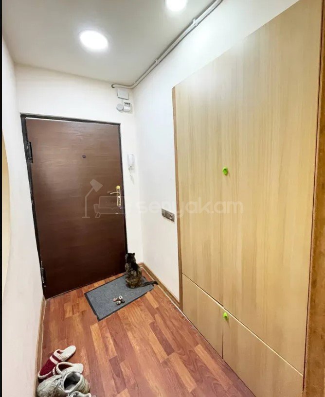 2 Սենյականոց Բնակարան, 10քմ, 4/14 հարկ, Կապիտալ Վերանորոգված, Կահավորված
