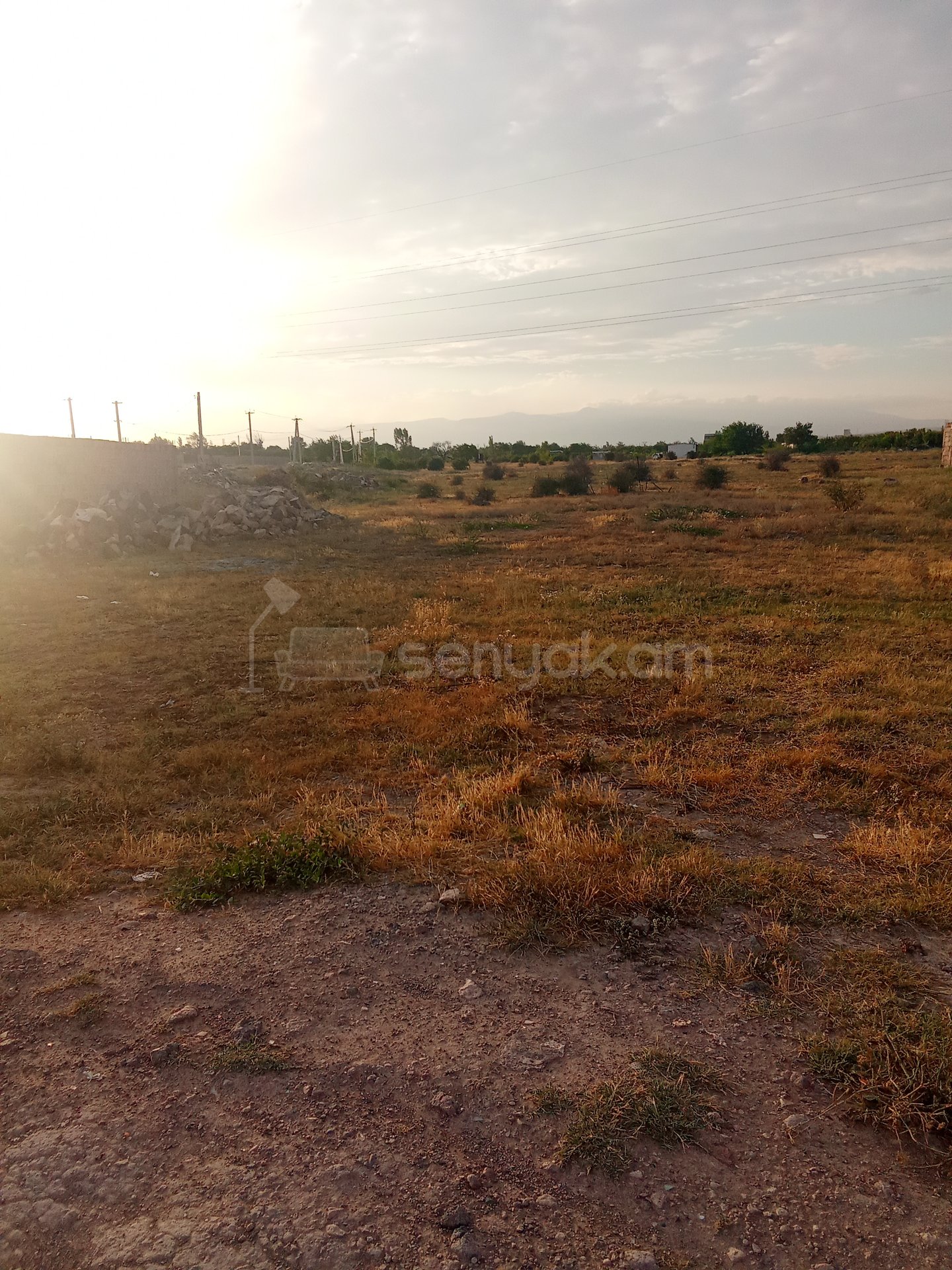 Այգի, 900քմ, Էլեկտրականությամբ
