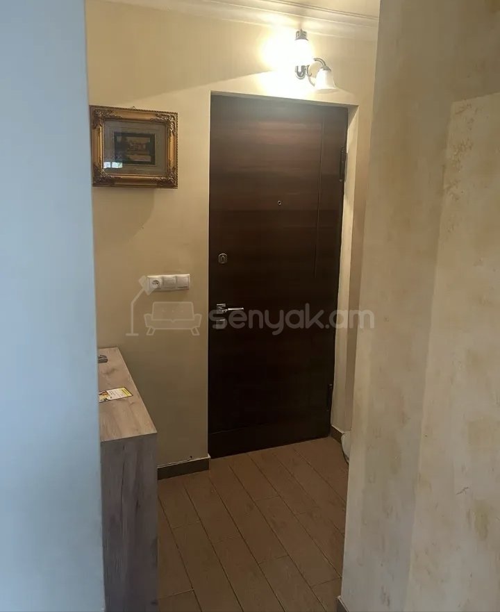 2 Սենյականոց Բնակարան Քարե Շենքում, 46քմ, 3/5 հարկ, Կապիտալ Վերանորոգված, Կահավորված