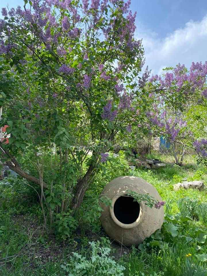 8 Սենյականոց Սեփական Տուն, 340քմ, Կապիտալ Վերանորոգված