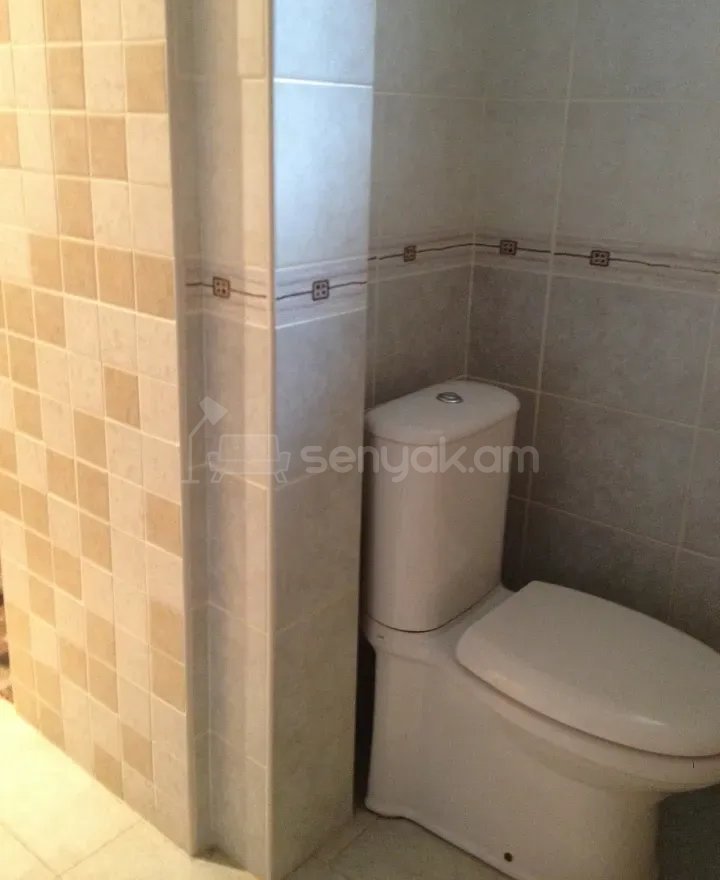 2 Սենյականոց Բնակարան Քարե Շենքում, 60քմ, 3/3 հարկ, Կապիտալ Վերանորոգված, Կահավորված