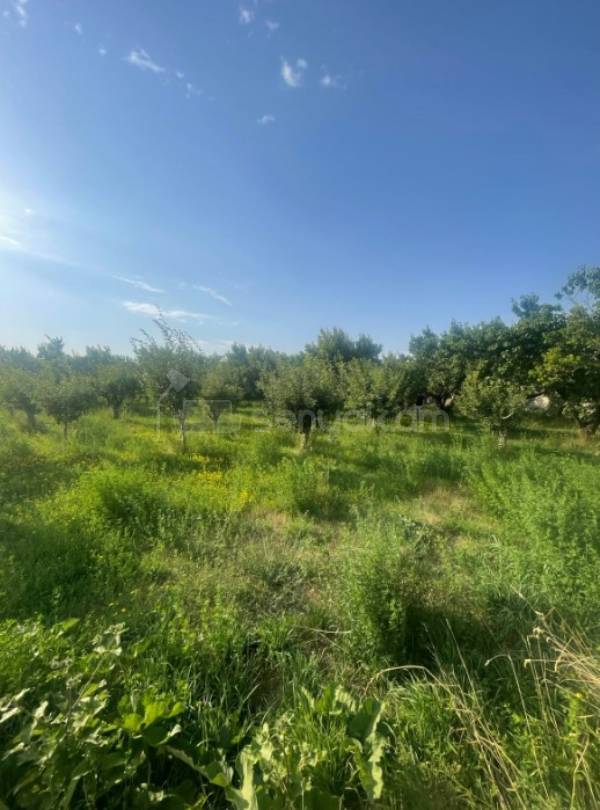 Բնակելի Նշանակության Հողատարածք, 1080քմ, Պարսպապատ