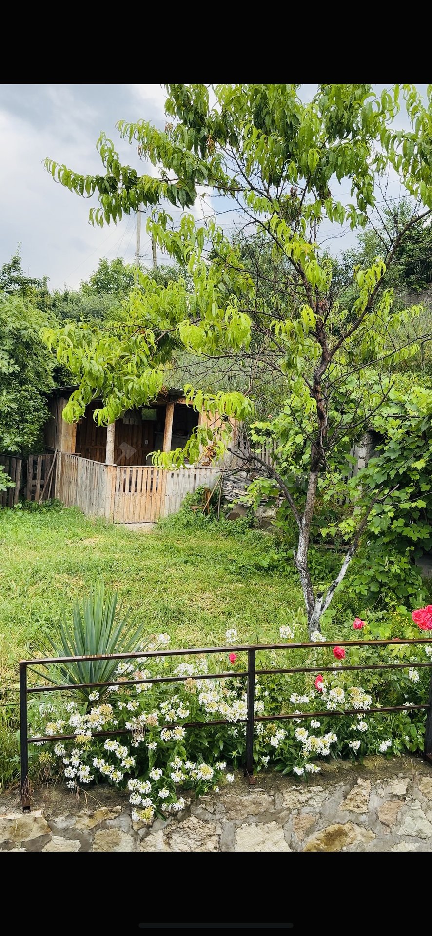 6 Սենյականոց Բնակարան, 320քմ, 1/2 հարկ, Կապիտալ Վերանորոգված