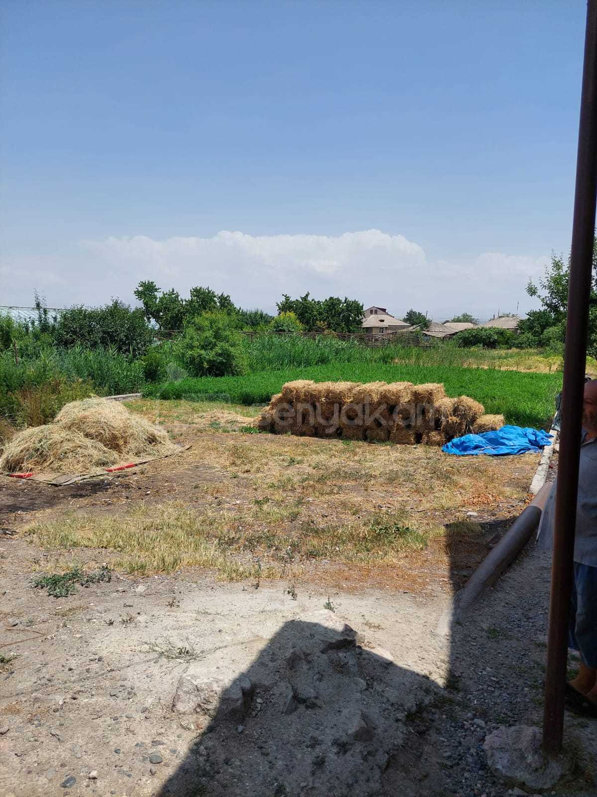 Հողամաս, 12420քմ, Ոռոգման Ջրով, Էլեկտրականությամբ, Պարսպապատ