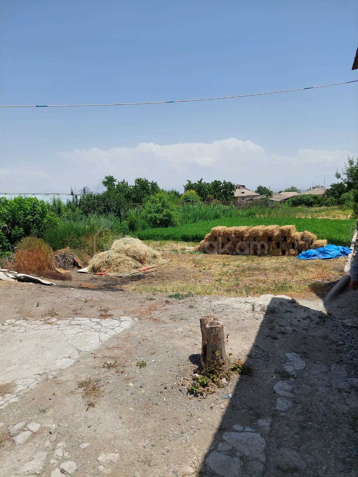 Հողամաս, 12420քմ, Ոռոգման Ջրով, Էլեկտրականությամբ, Պարսպապատ