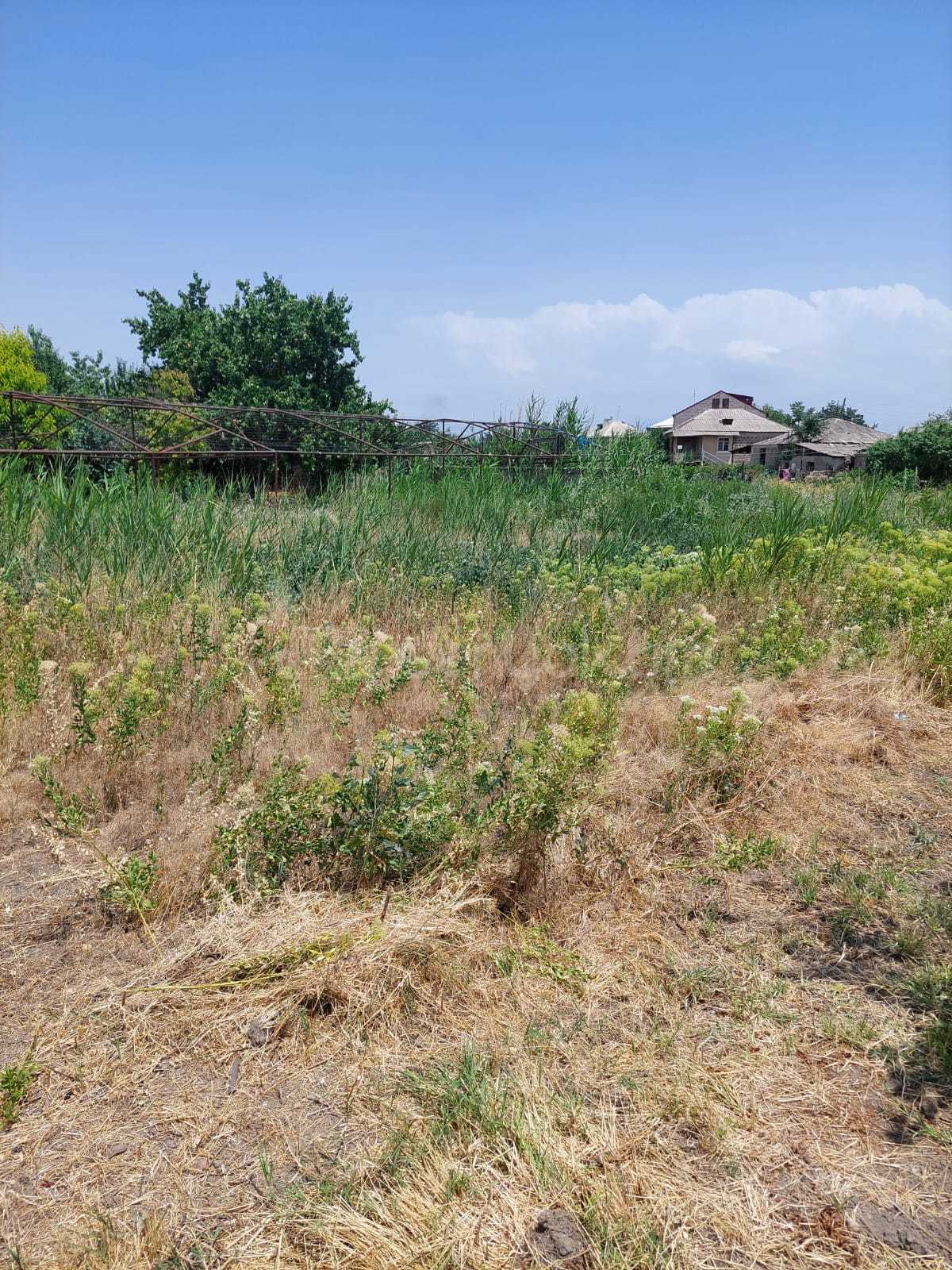 Հողամաս, 12420քմ, Ոռոգման Ջրով, Էլեկտրականությամբ, Պարսպապատ