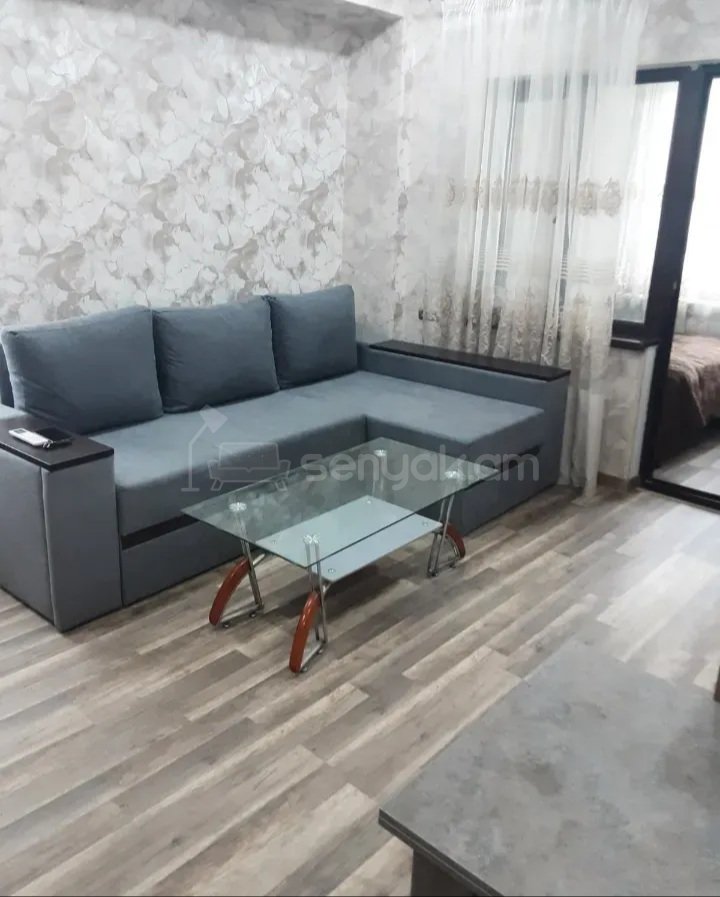 2 Սենյականոց Բնակարան, 50քմ, 4/9 հարկ, Կապիտալ Վերանորոգված, Կահավորված