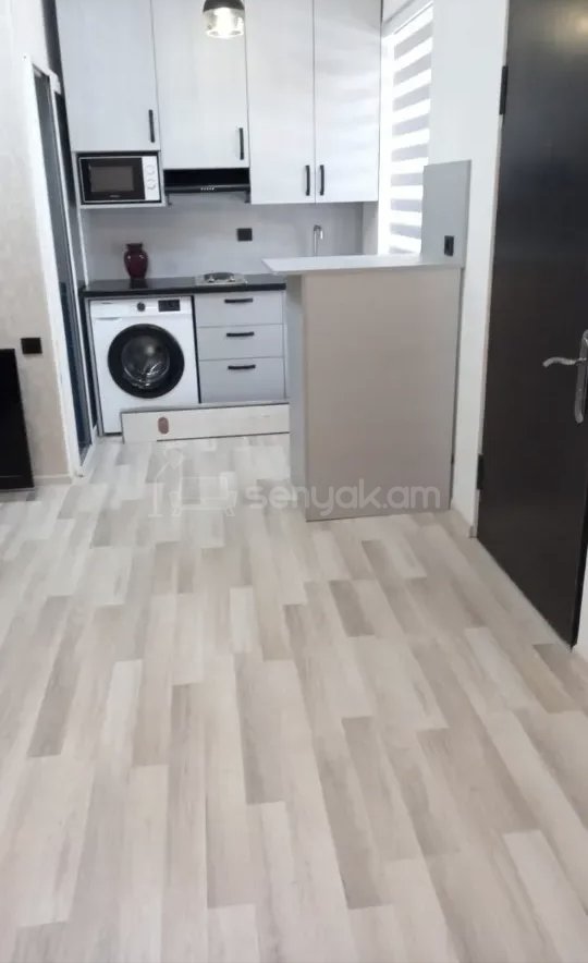 1 Սենյականոց Բնակարան Քարե Շենքում, 40քմ, 1/1 հարկ, Կապիտալ Վերանորոգված, Կահավորված