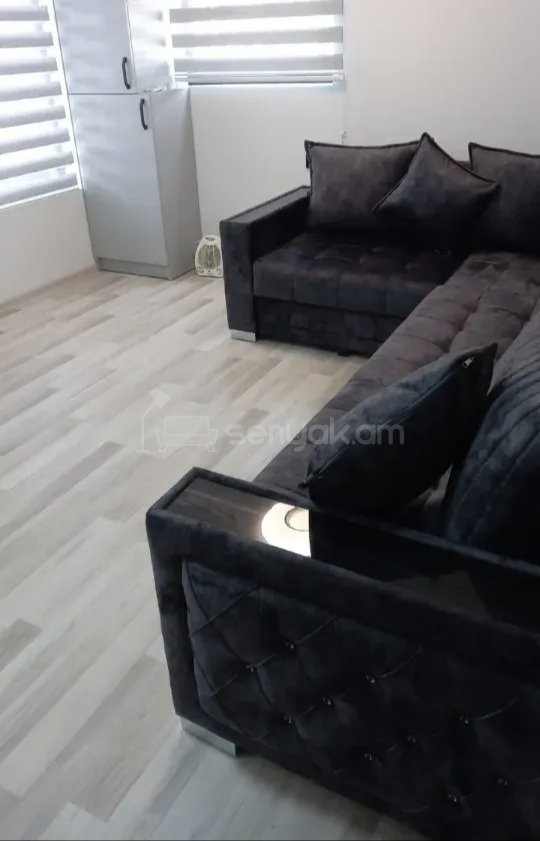 1 Սենյականոց Բնակարան Քարե Շենքում, 40քմ, 1/1 հարկ, Կապիտալ Վերանորոգված, Կահավորված