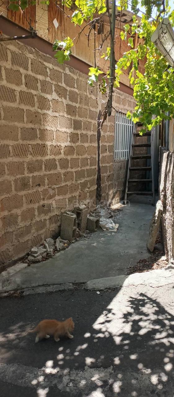 3 Սենյականոց Սեփական Տուն, 76քմ, Կոսմետիկ Վերանորոգված, Ավտոտնակով