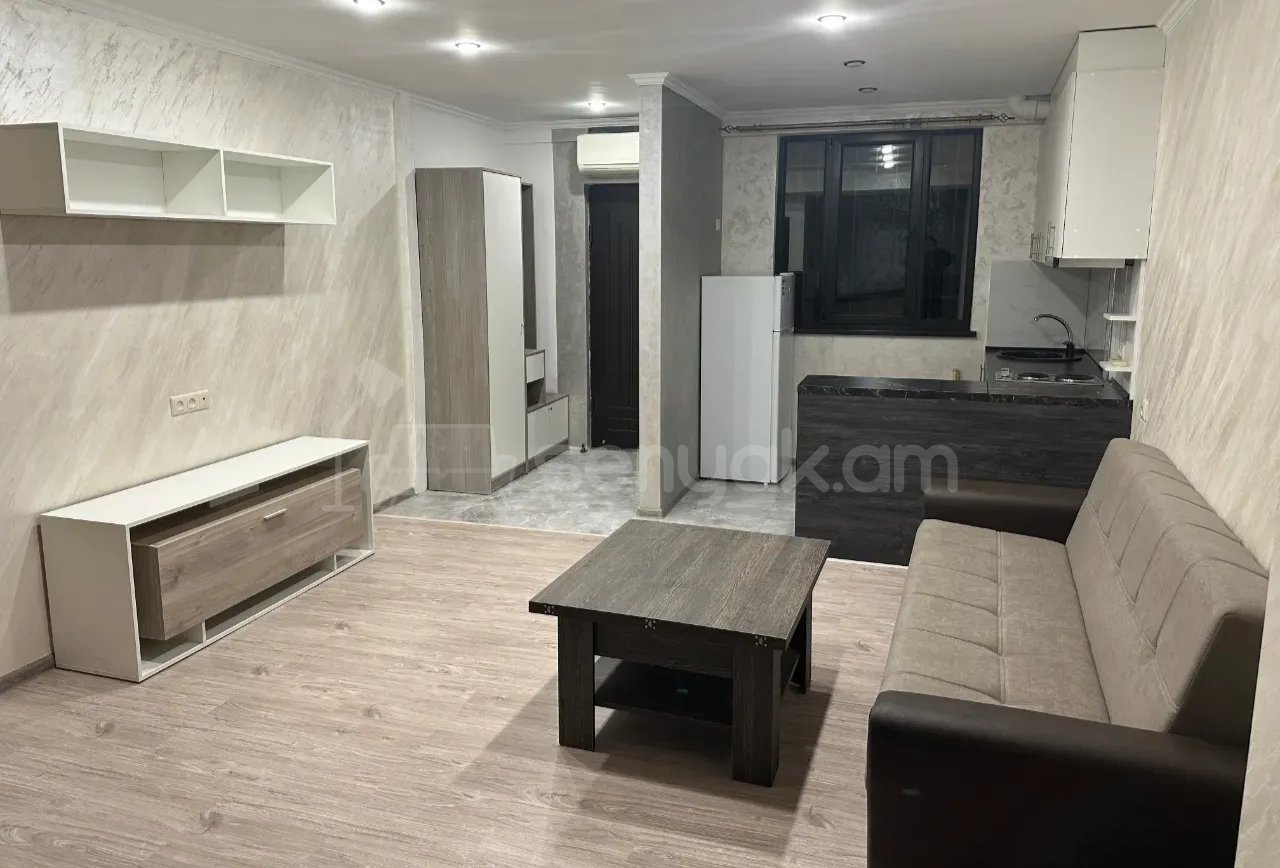 1 Սենյականոց Բնակարան Քարե Շենքում, 40քմ, 1/1 հարկ, Նորմալ Վիճակում, Կահավորված