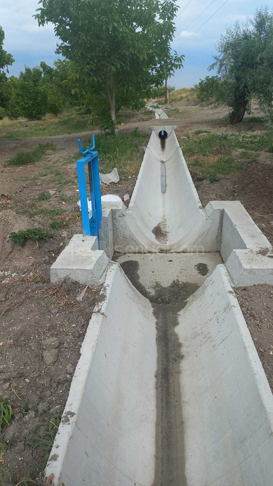 Այգի, 12000քմ, Ոռոգման Ջրով, Էլեկտրականությամբ, Ցանկապատված