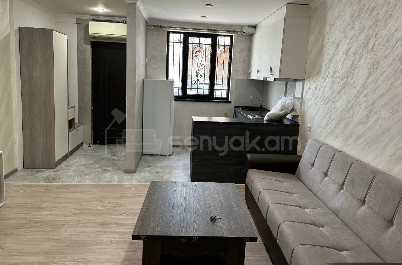 1 Սենյականոց Բնակարան Քարե Շենքում, 42քմ, 1/1 հարկ, Դիզայներական Վերանորոգված, Կահավորված
