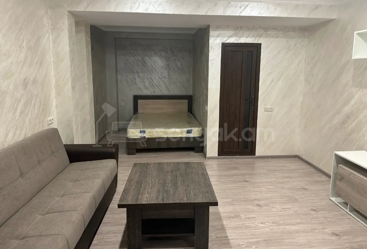 1 Սենյականոց Բնակարան Քարե Շենքում, 42քմ, 1/1 հարկ, Դիզայներական Վերանորոգված, Կահավորված