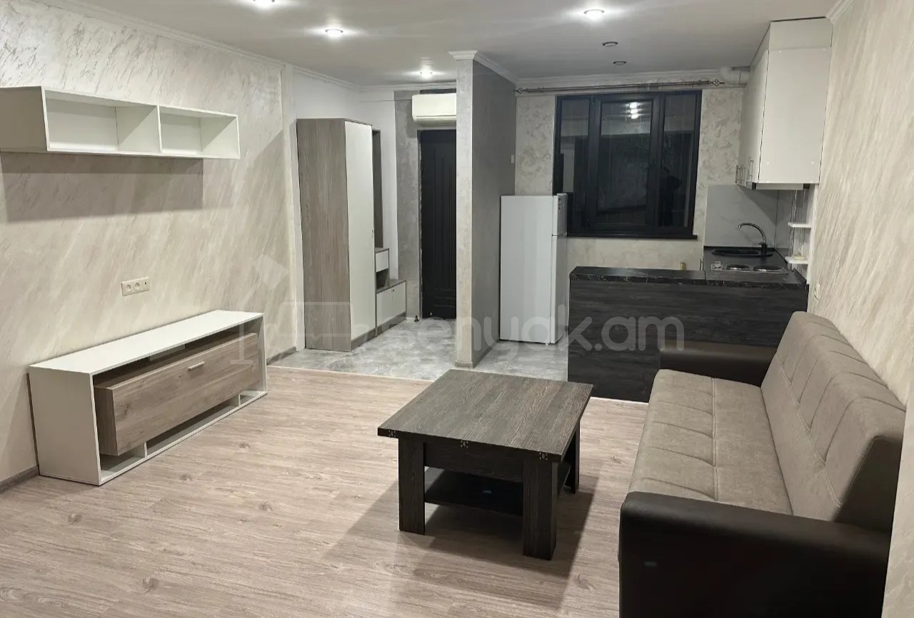 1 Սենյականոց Բնակարան Քարե Շենքում, 42քմ, 1/1 հարկ, Դիզայներական Վերանորոգված, Կահավորված
