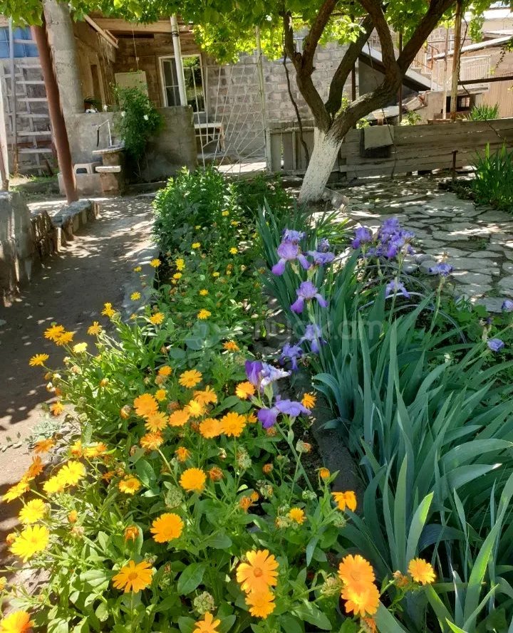 7 Սենյականոց Սեփական Տուն, 230քմ, Նորմալ Վիճակում, Ավտոտնակով
