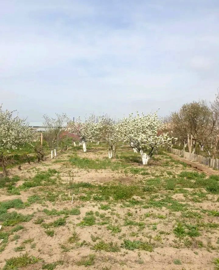 7 Սենյականոց Սեփական Տուն, 230քմ, Նորմալ Վիճակում, Ավտոտնակով