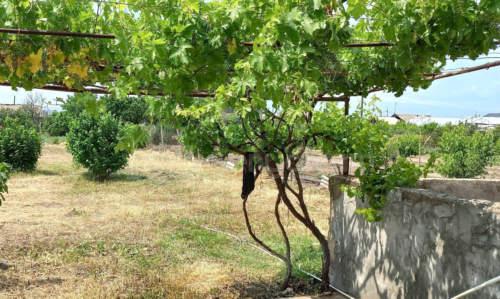 4 Սենյականոց Սեփական Տուն, 250քմ, Նորմալ Վիճակում, Ավտոտնակով