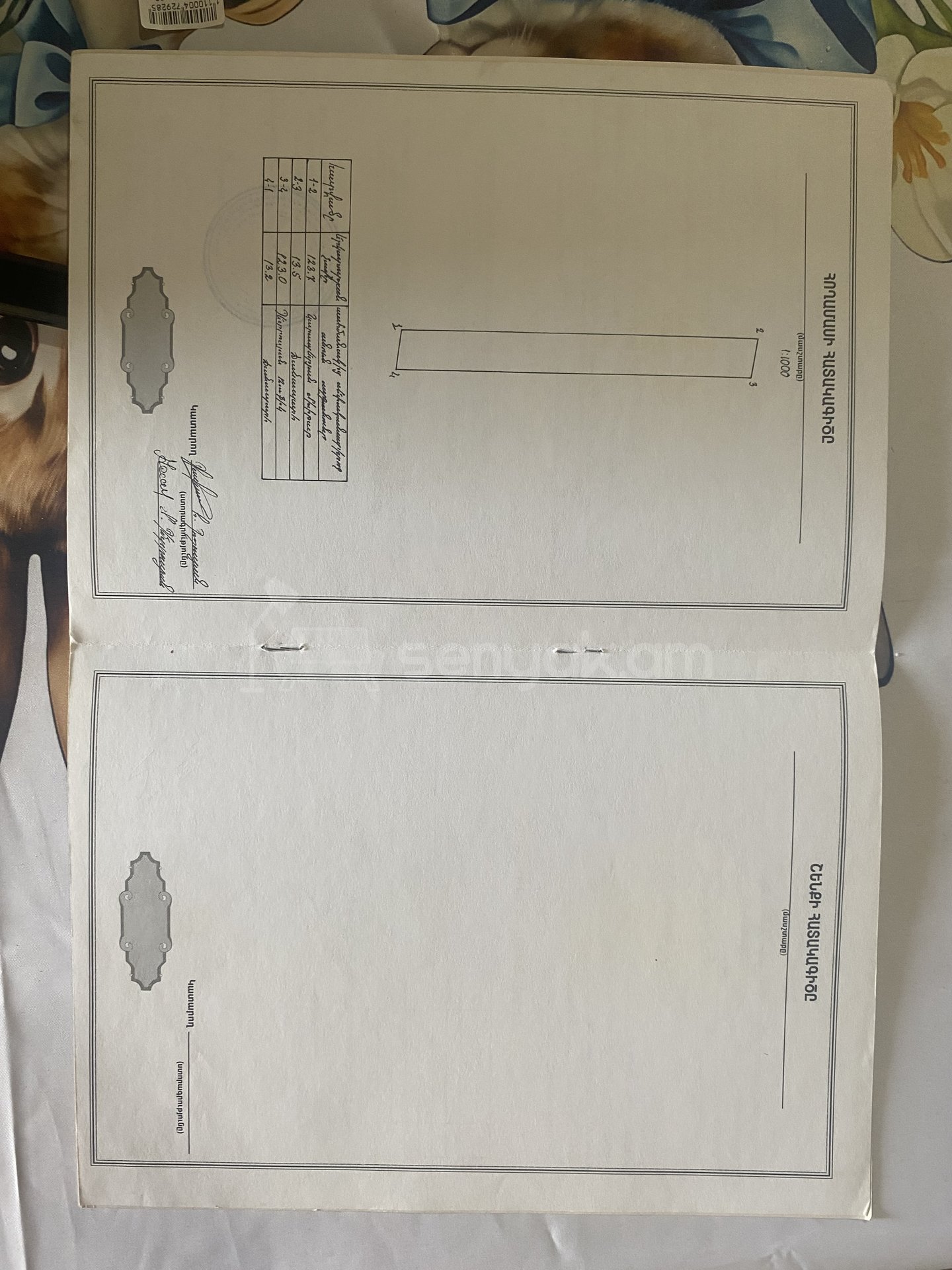 Հողատարածք, 1000քմ, Էլեկտրականությամբ