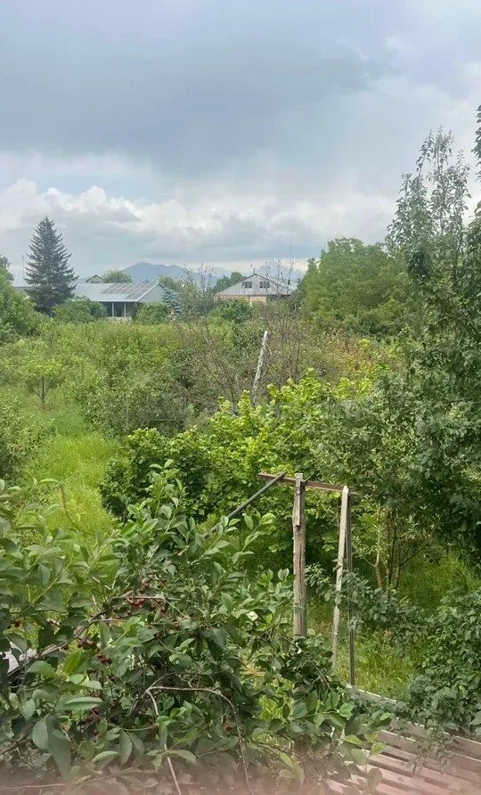 5 Սենյականոց Սեփական Տուն, 208քմ, Կապիտալ Վերանորոգված