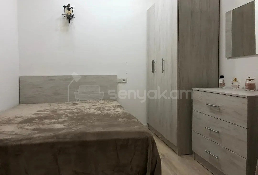 2 Սենյականոց Բնակարան Քարե Շենքում, 45քմ, 3/5 հարկ, Կապիտալ Վերանորոգված