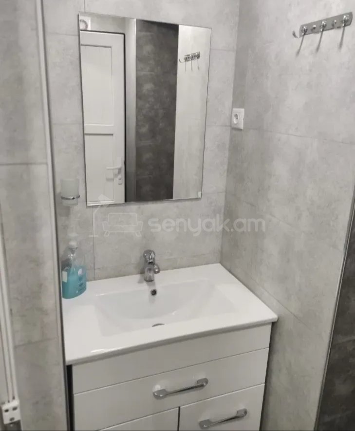 1 Սենյականոց Բնակարան Քարե Շենքում, 42քմ, 1/1 հարկ, Կապիտալ Վերանորոգված, Կահավորված