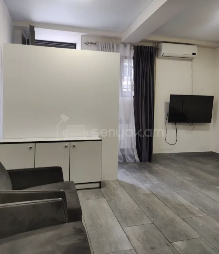 1 Սենյականոց Բնակարան Քարե Շենքում, 42քմ, 1/1 հարկ, Կապիտալ Վերանորոգված, Կահավորված