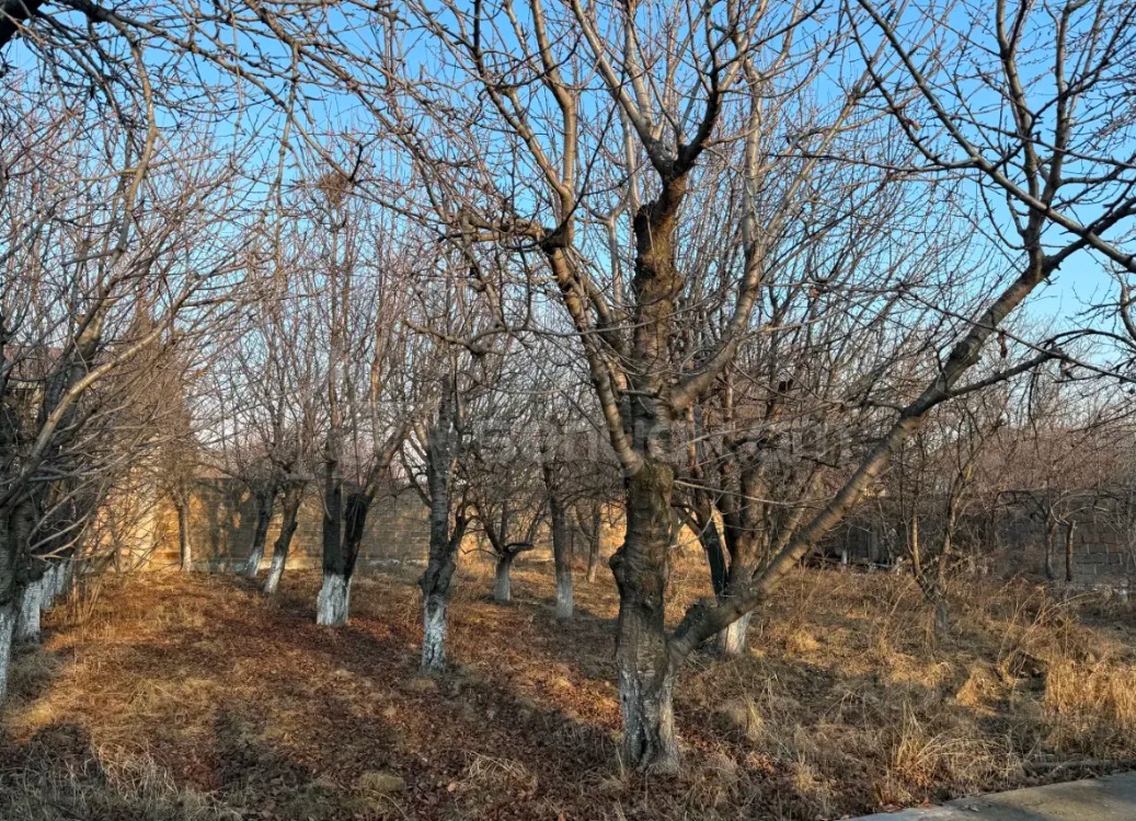 6 Սենյականոց Շքեղ Առանձնատուն, 422քմ