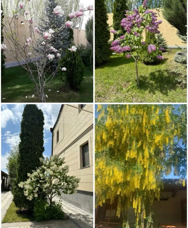 8 Սենյականոց Շքեղ Առանձնատուն, 466քմ