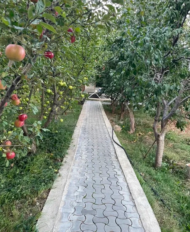 5 Սենյականոց Սեփական Տուն, 195քմ, Դիզայներական Վերանորոգված