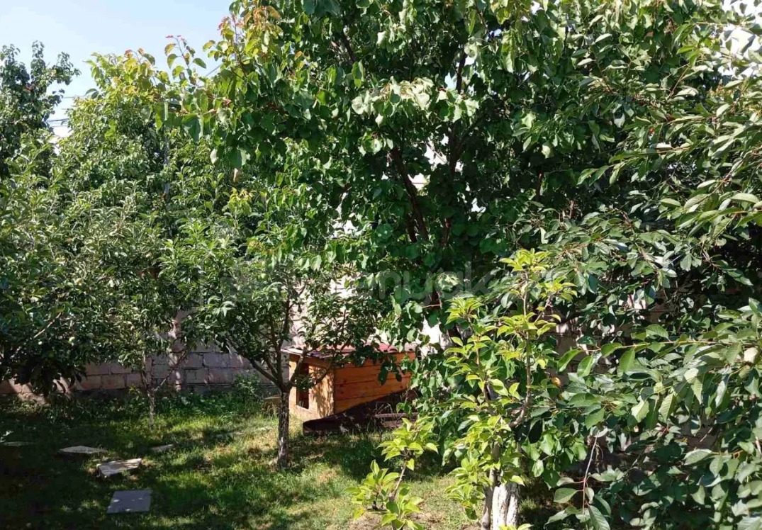 6 Սենյականոց Սեփական Տուն, 285քմ, Կապիտալ Վերանորոգված