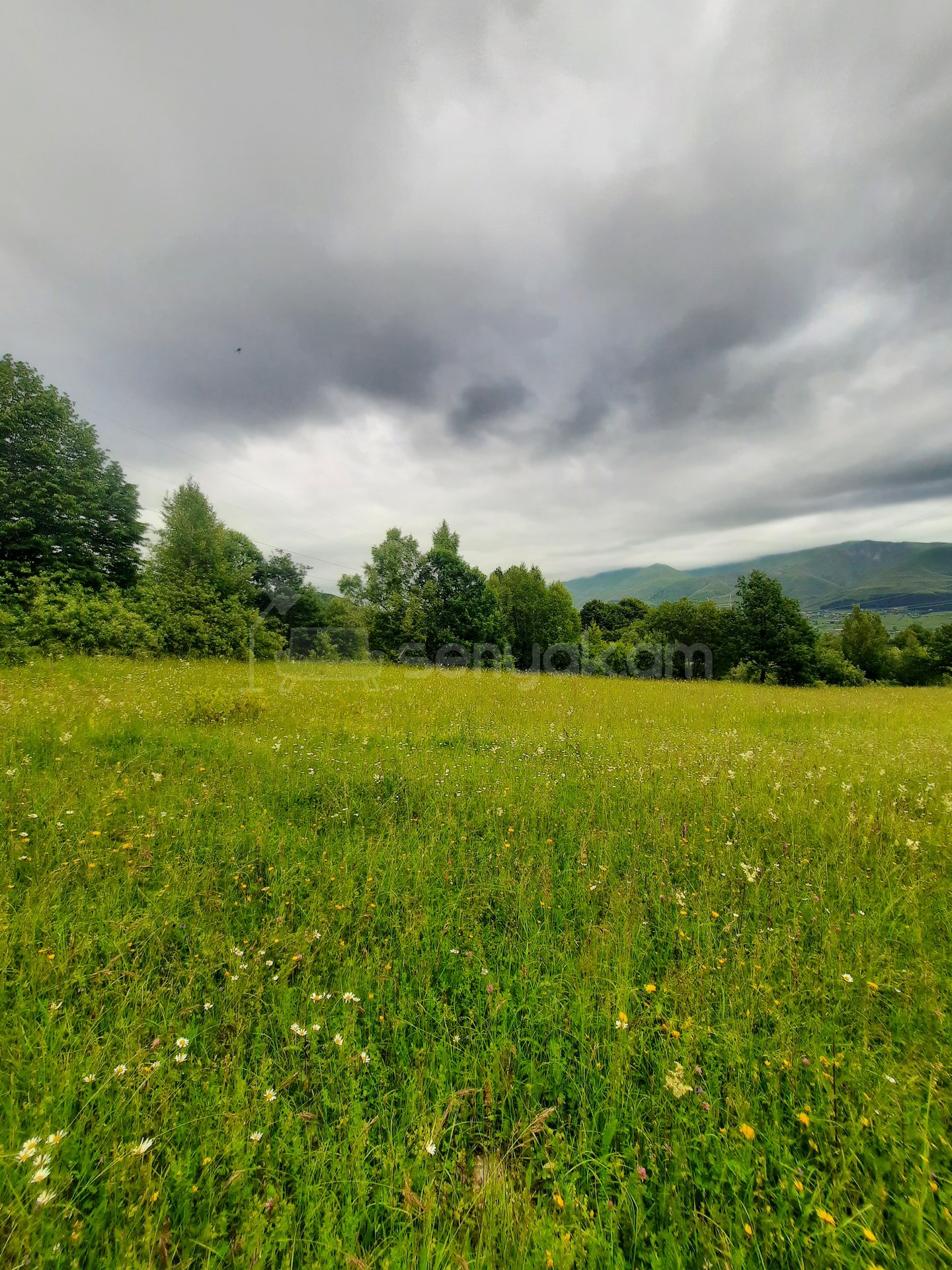 Հողամաս, 7300քմ, Էլեկտրականությամբ