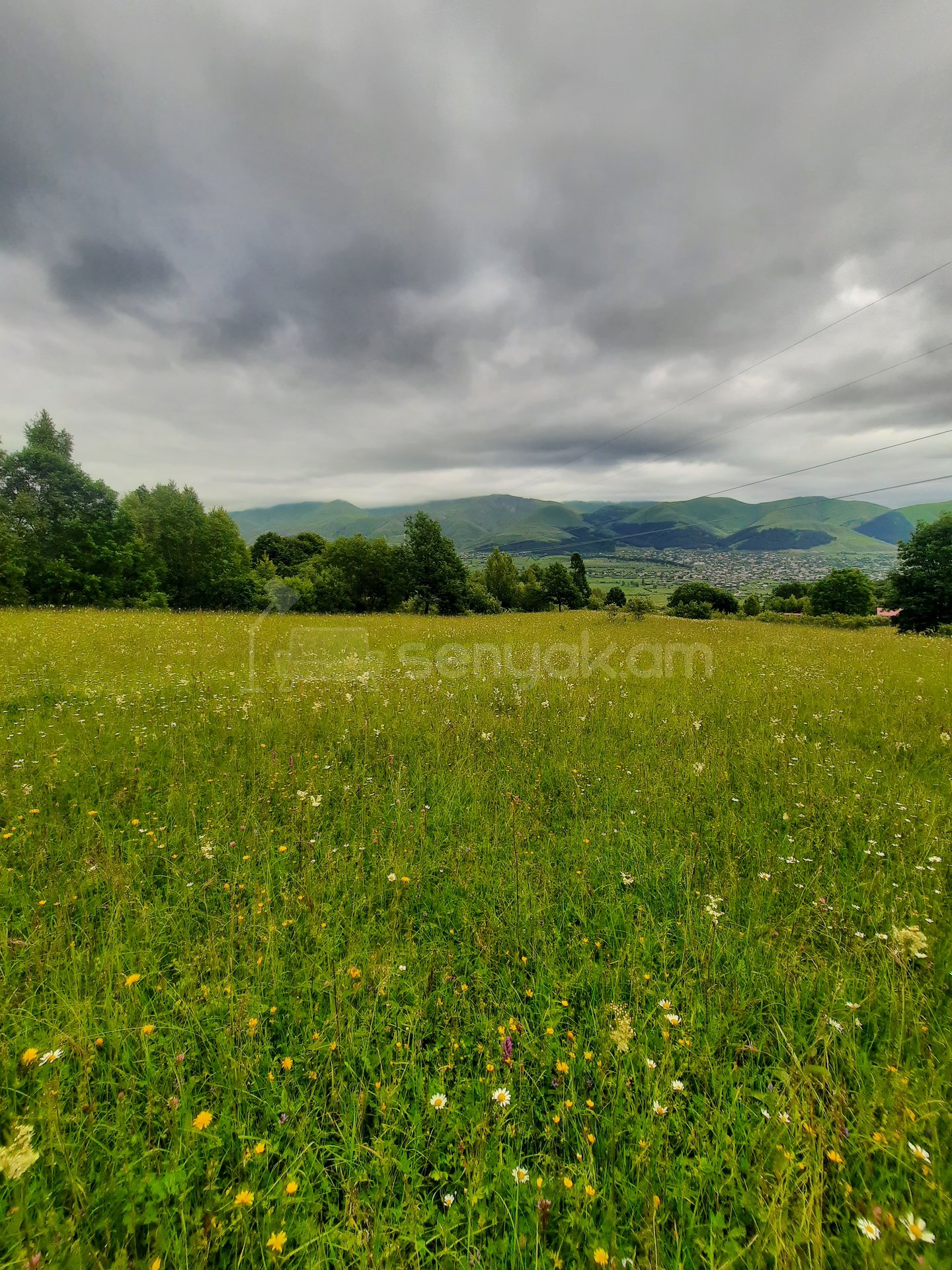 Հողամաս, 7300քմ, Էլեկտրականությամբ