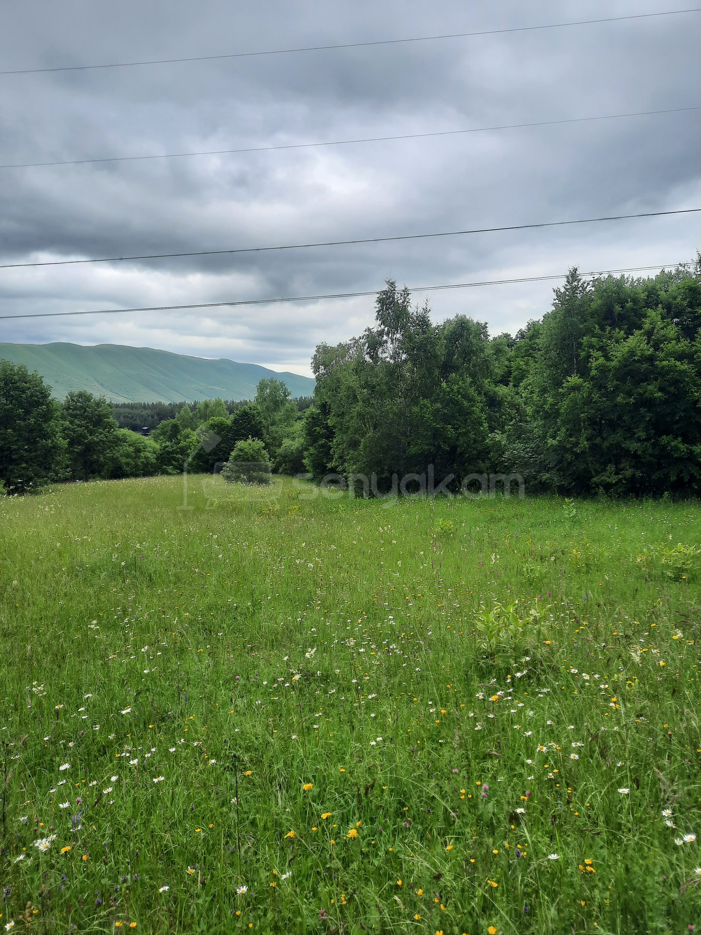 Հողամաս, 7300քմ, Էլեկտրականությամբ