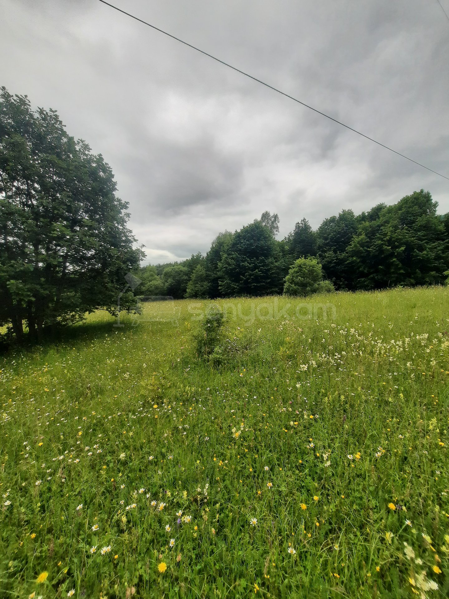 Հողամաս, 7300քմ, Էլեկտրականությամբ