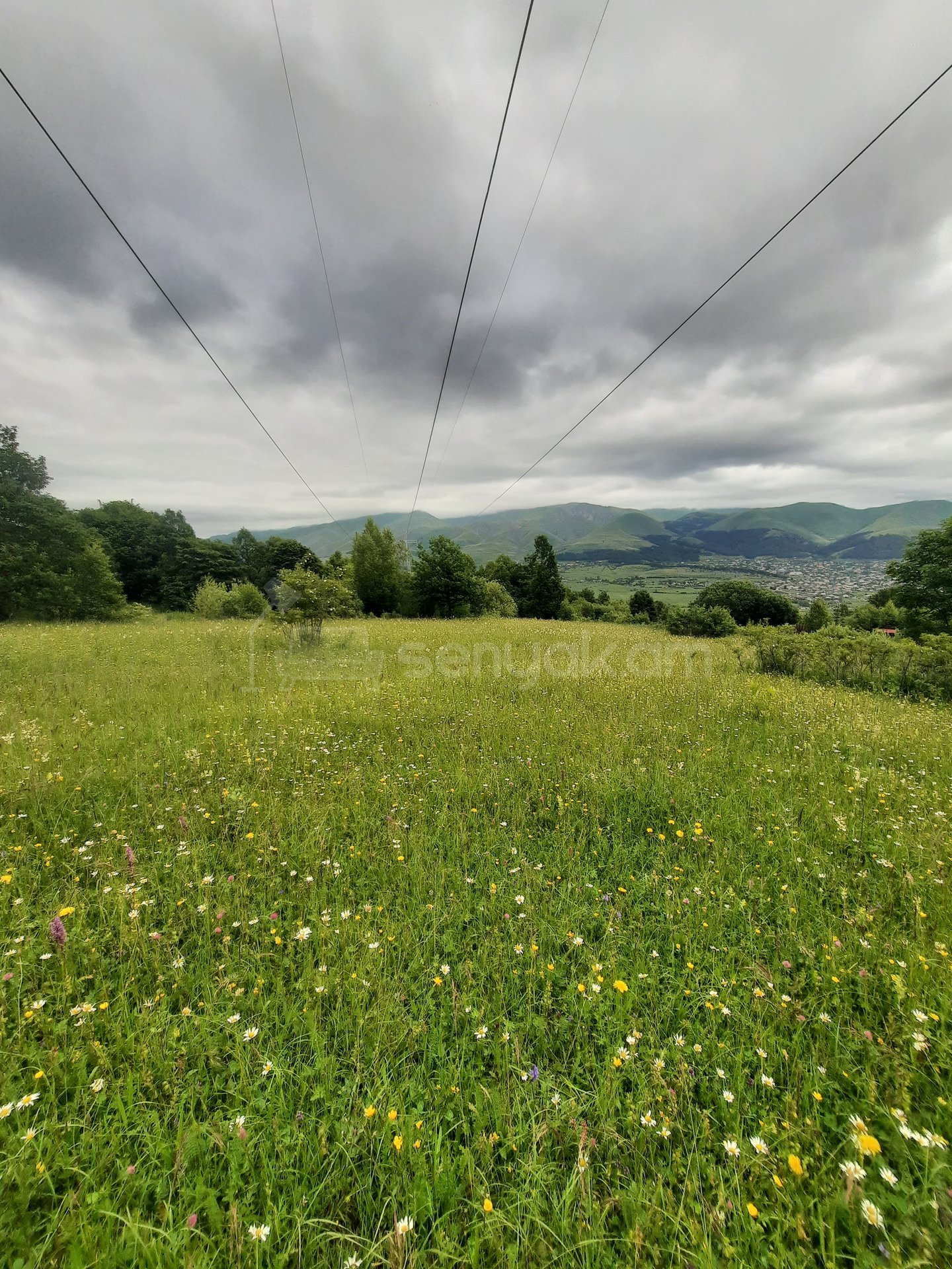 Հողամաս, 7300քմ, Էլեկտրականությամբ