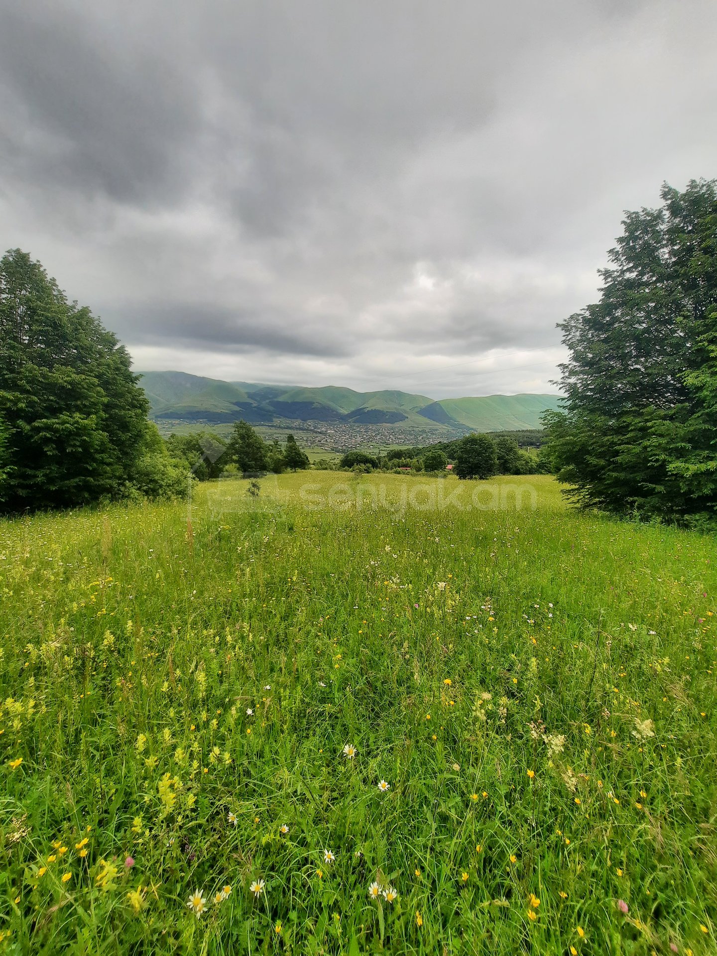 Հողամաս, 7300քմ, Էլեկտրականությամբ