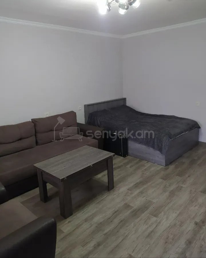 1 Սենյականոց Բնակարան Քարե Շենքում, 31քմ, 3/5 հարկ, Դիզայներական Վերանորոգված, Կահավորված