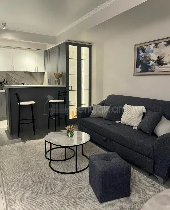 2 Սենյականոց Բնակարան, 48քմ, 9/10 հարկ, Կապիտալ Վերանորոգված