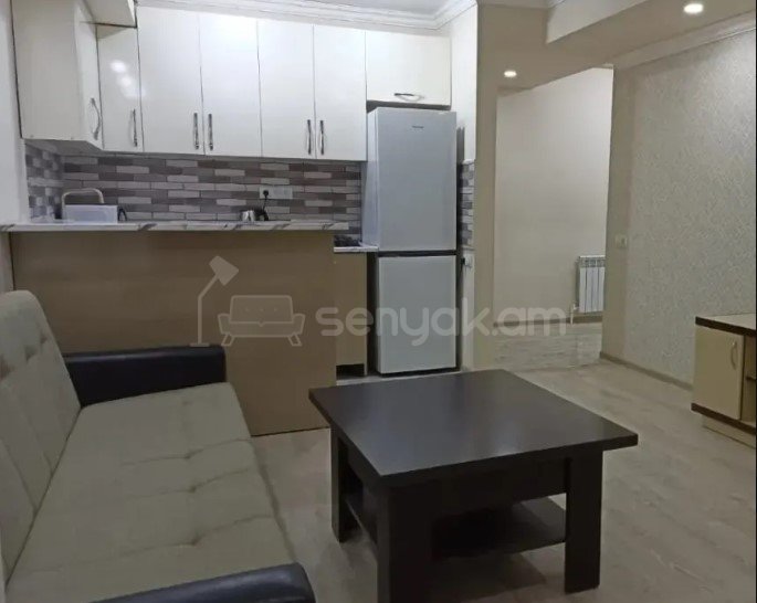 2 Սենյականոց Բնակարան Նորակառույցում, 50քմ, 2/9 հարկ, Կապիտալ Վերանորոգված, Կահավորված