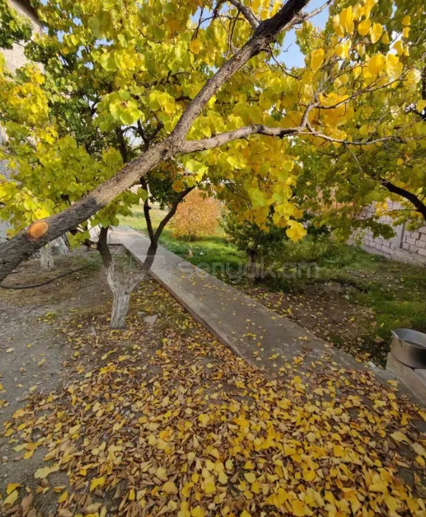 5 Սենյականոց Սեփական Տուն, 176քմ, Դիզայներական Վերանորոգված