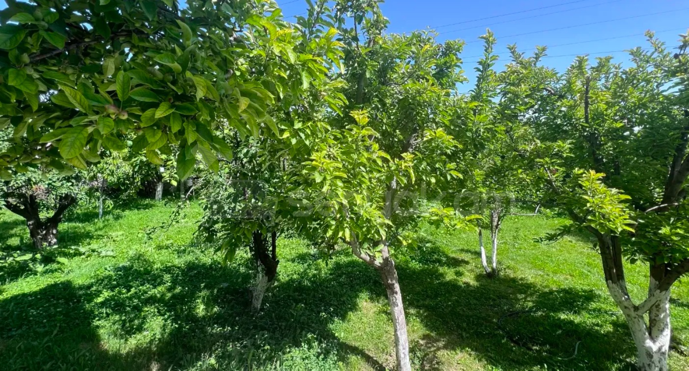 4 Սենյականոց Շքեղ Առանձնատուն, 200քմ