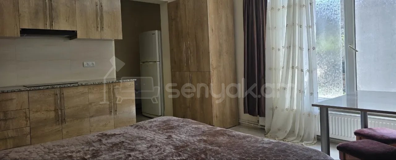 1 Սենյականոց Բնակարան Քարե Շենքում, 30քմ, 1/1 հարկ, Նորմալ Վիճակում, Կահավորված